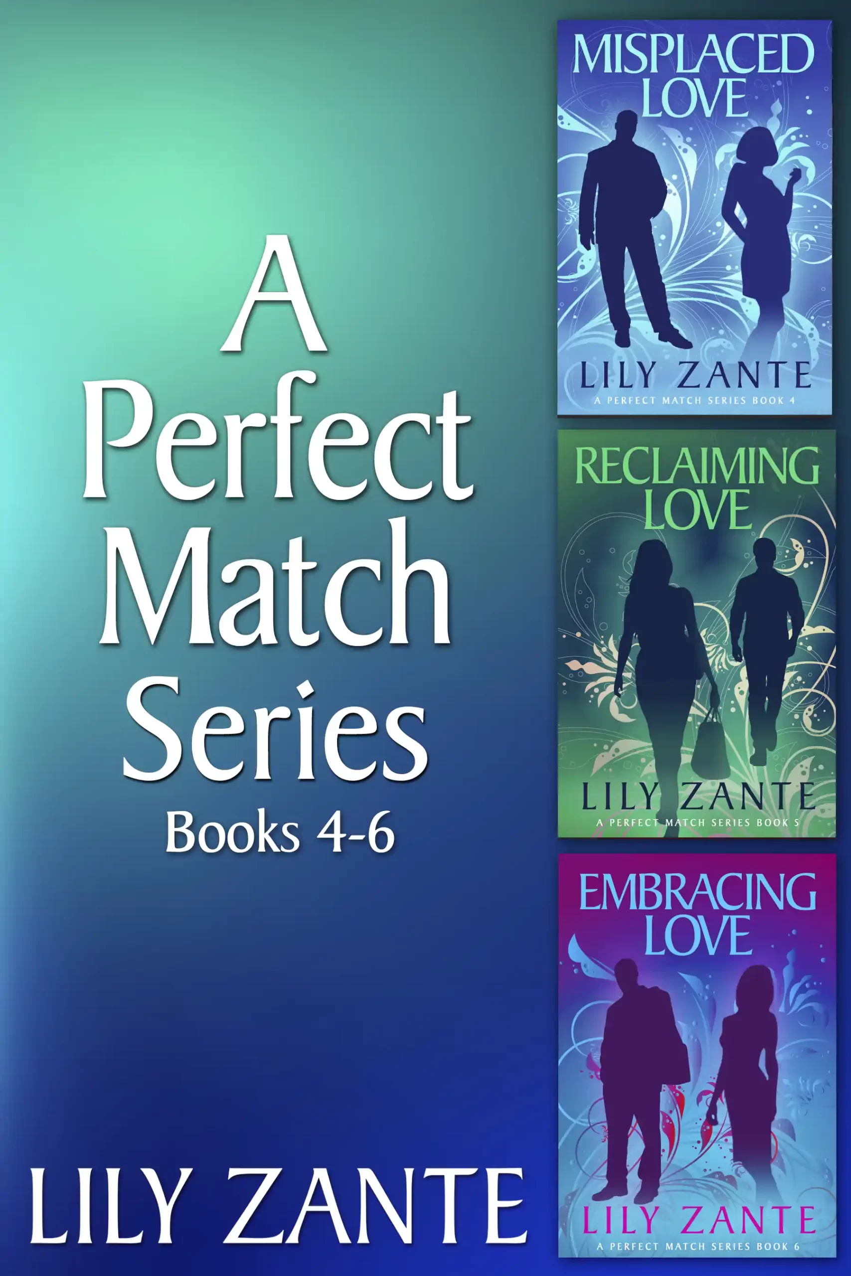 A Perfect Match by Lily Zante