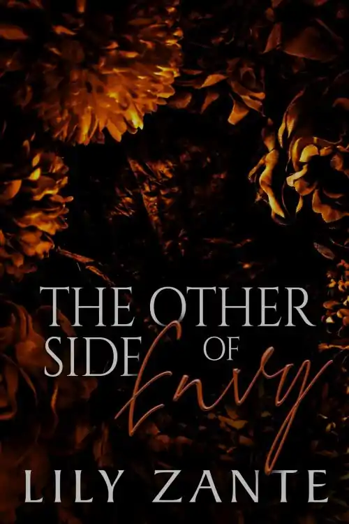 The Other Side of Envy by Lily Zante